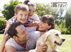 1775 for the Family